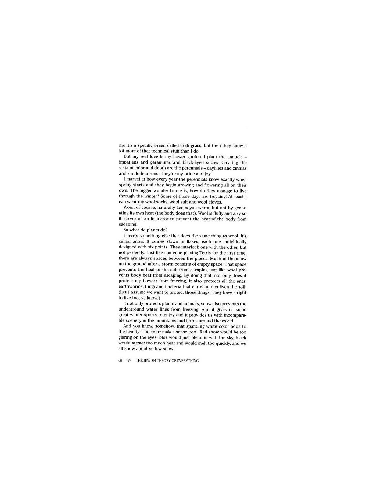 The Jewish Theory of Everything - Hardcover | Books | Judaica