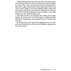 The Jewish Theory of Everything - Hardcover | Books | Judaica