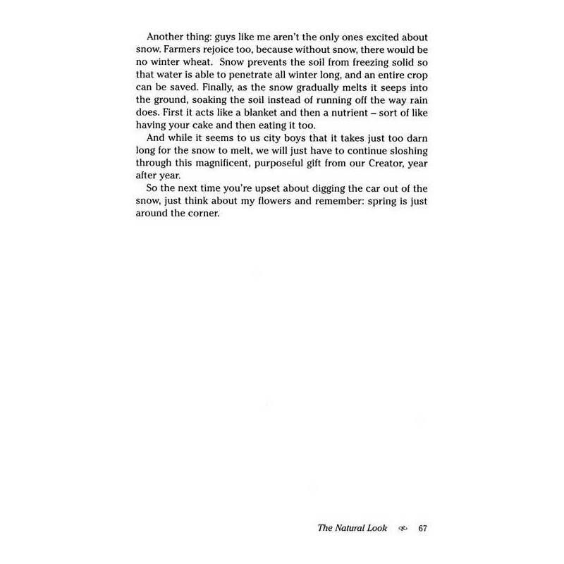 The Jewish Theory of Everything - Hardcover | Books | Judaica
