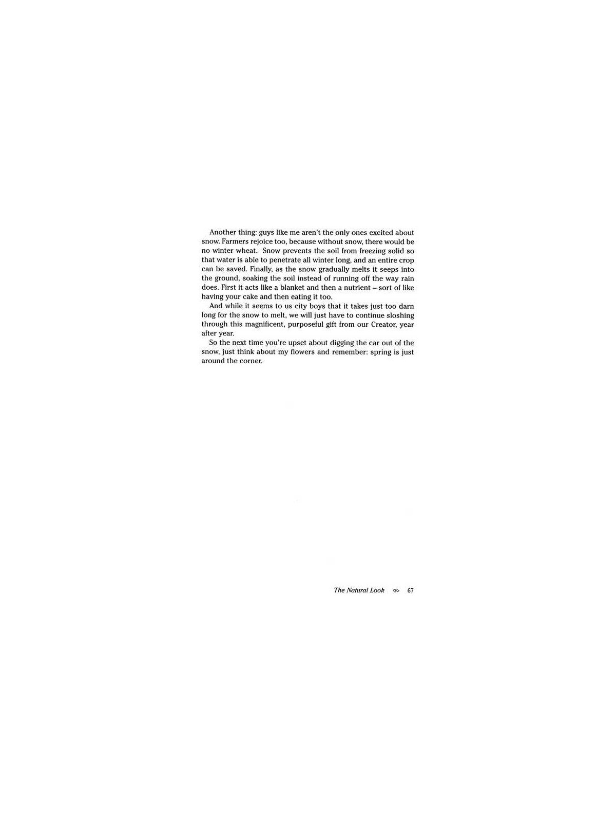 The Jewish Theory of Everything - Hardcover | Books | Judaica