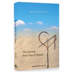The Journey from Tear to Repair - Paperback | Books | Judaica