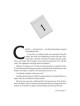 The Envelope - Hardcover | Books | Judaica