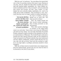 The Essential Malbim - Shemos | Books | Judaica