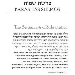 The Essential Malbim - Shemos | Books | Judaica