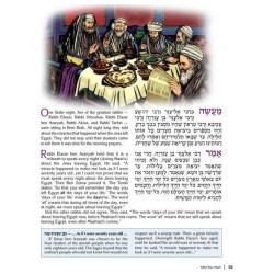The Illustrated Haggadah - Paperback | Passover | Judaica