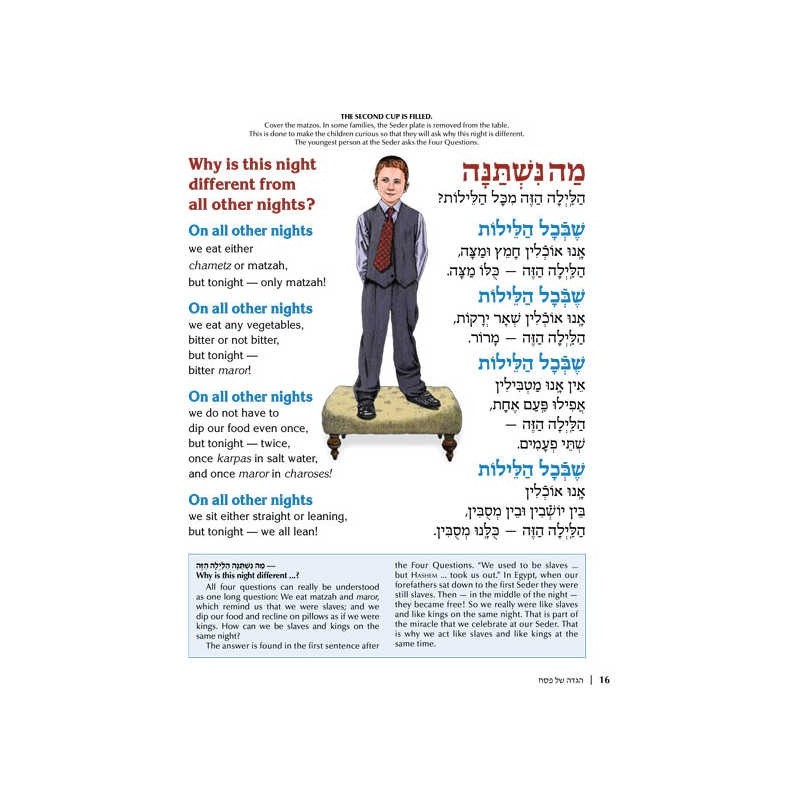 The Illustrated Haggadah - Paperback | Passover | Judaica