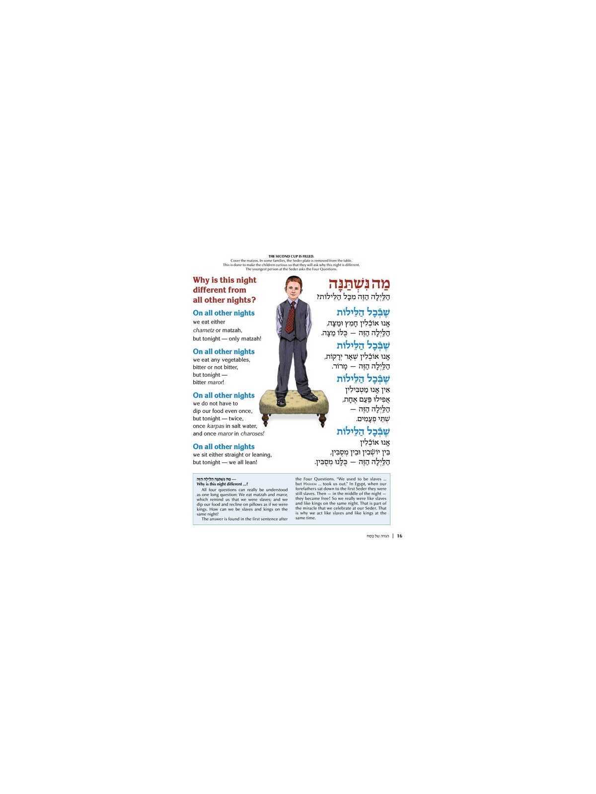 The Illustrated Haggadah - Paperback | Passover | Judaica