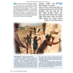 The Illustrated Haggadah - Paperback | Passover | Judaica