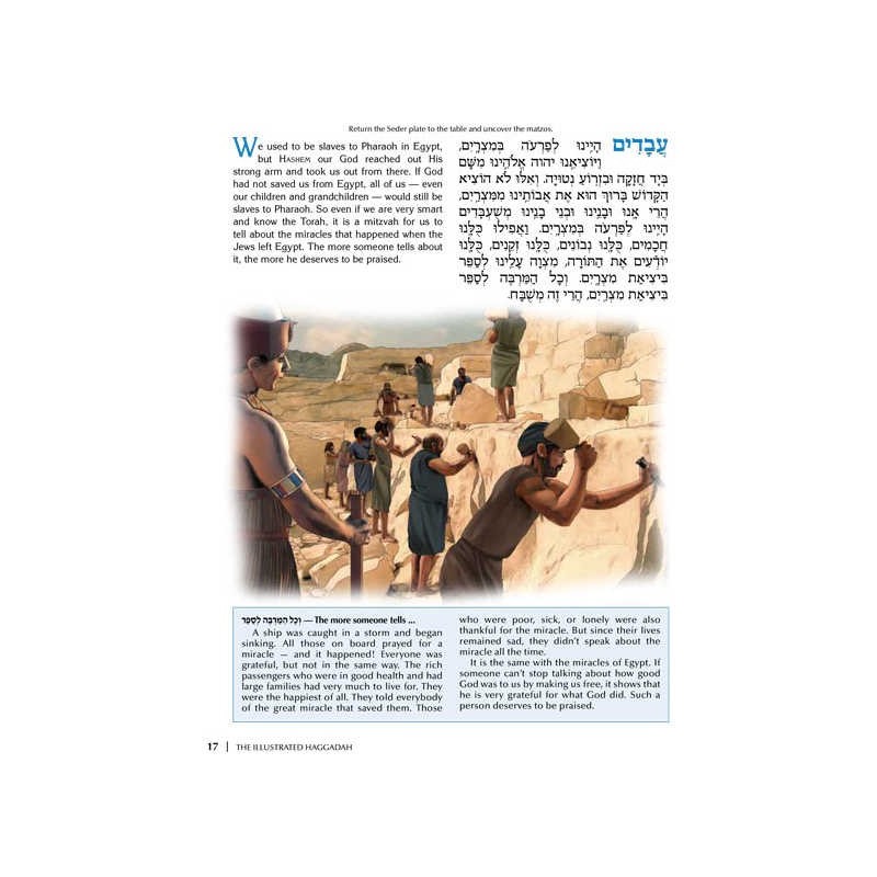 The Illustrated Haggadah - Paperback | Passover | Judaica
