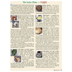 The Illustrated Haggadah - Paperback | Passover | Judaica