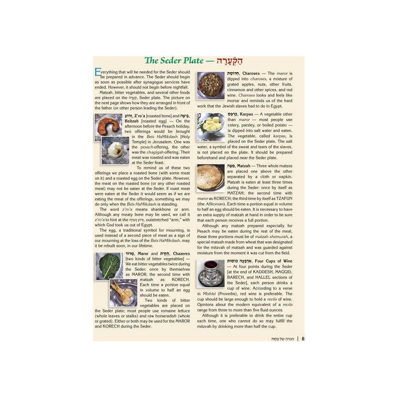 The Illustrated Haggadah - Paperback | Passover | Judaica