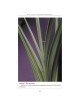 The Lulav and Esrog Handbook - Hardcover | Sukkot | Judaica