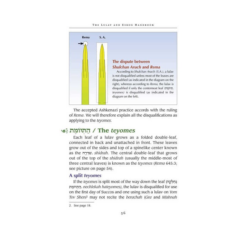 The Lulav and Esrog Handbook - Hardcover | Sukkot | Judaica