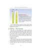 The Lulav and Esrog Handbook - Hardcover | Sukkot | Judaica