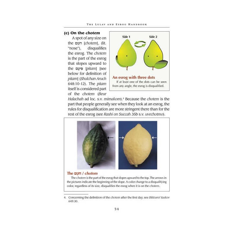 The Lulav and Esrog Handbook - Hardcover | Sukkot | Judaica