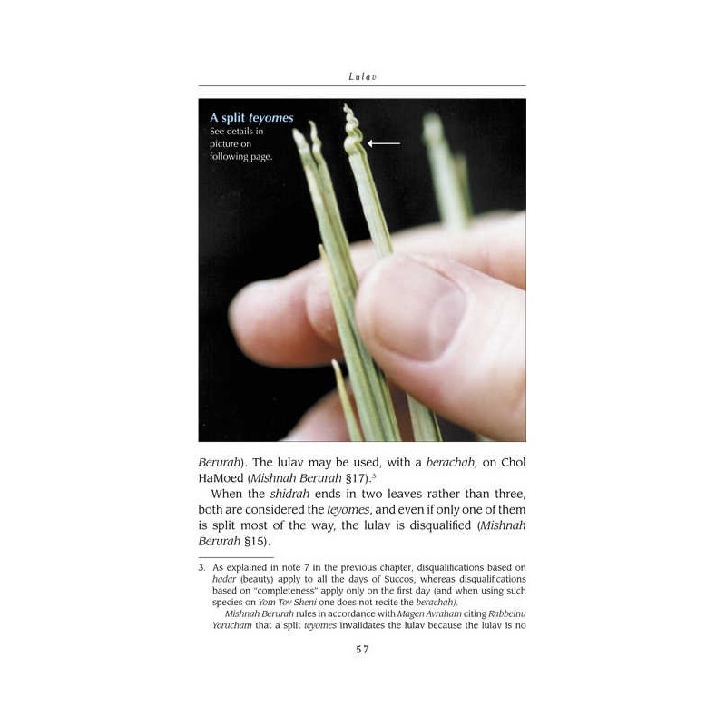 The Lulav and Esrog Handbook - Hardcover | Sukkot | Judaica