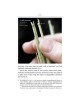 The Lulav and Esrog Handbook - Hardcover | Sukkot | Judaica
