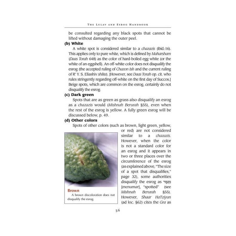 The Lulav and Esrog Handbook - Hardcover | Sukkot | Judaica