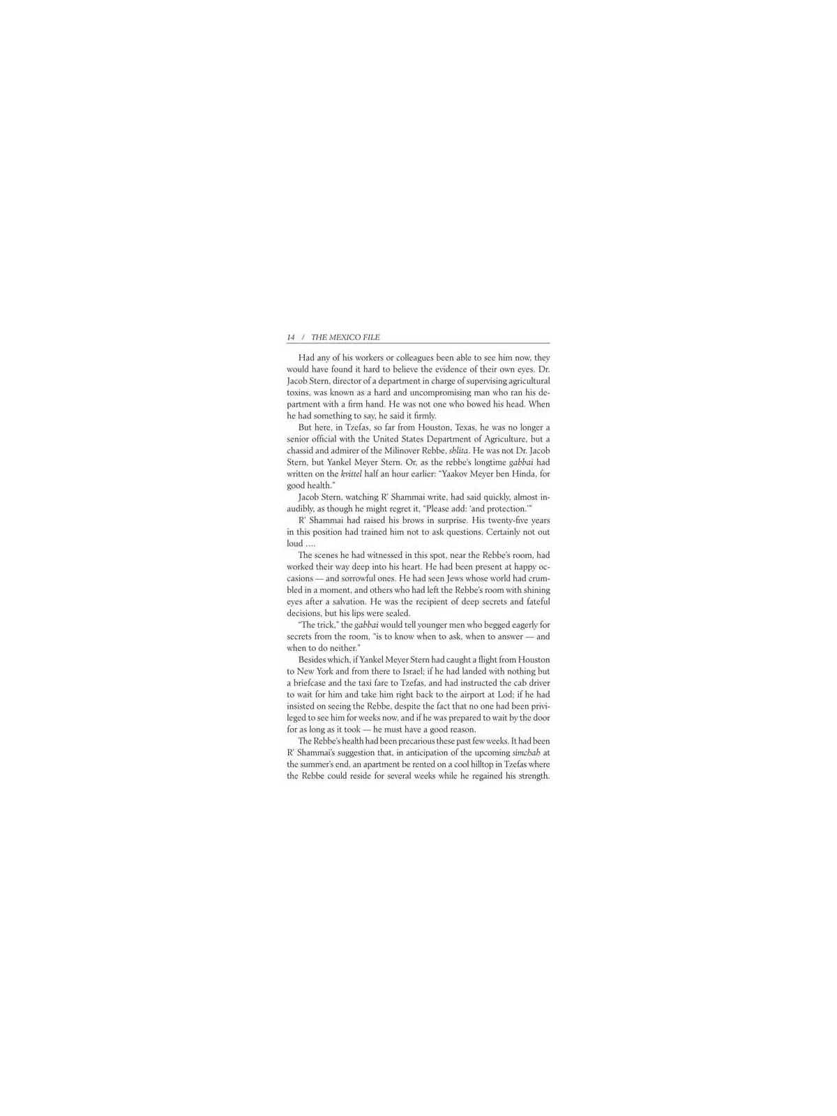 The Mexico File - Hardcover | Books | Judaica