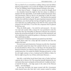 The Mexico File - Hardcover | Books | Judaica