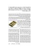 The Ryzman Edition Hebrew Mishnah Keilim Volume 1  | Books | Judaica