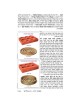 The Ryzman Edition Hebrew Mishnah Keilim Volume 1  | Books | Judaica