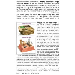 The Ryzman Edition Hebrew Mishnah Keilim Volume 1  | Books | Judaica