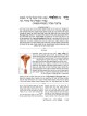 The Ryzman Edition Hebrew Mishnah Keilim Volume 1  | Books | Judaica
