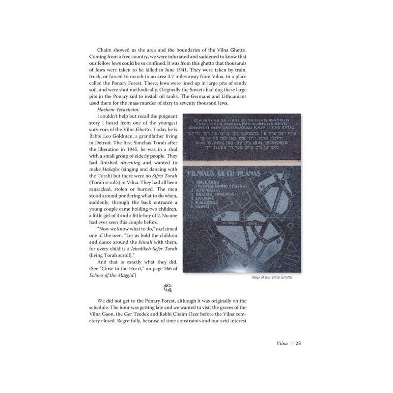 Traveling With The Maggid - Hardcover | Books | Judaica