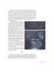 Traveling With The Maggid - Hardcover | Books | Judaica