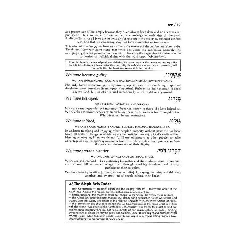 Viduy / Confession - Paperback | Books | Judaica