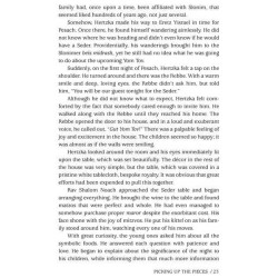 Touched by Their Spirit - Paperback | Books | Judaica