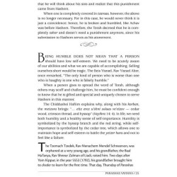 Touched by the Parashah Vayikra/Bamidbar/Devarim | Books | Judaica