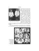 Upwards - Hardcover | Books | Judaica