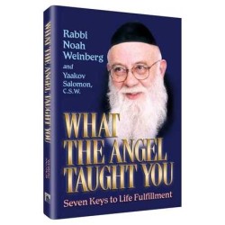 What the Angel Taught You - Hardcover | Books | Judaica