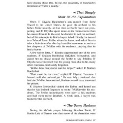 Wisdom & Wit - Paperback | Books | Judaica