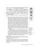 The Wisdom In The Hebrew Months - Hardcover | Books | Judaica