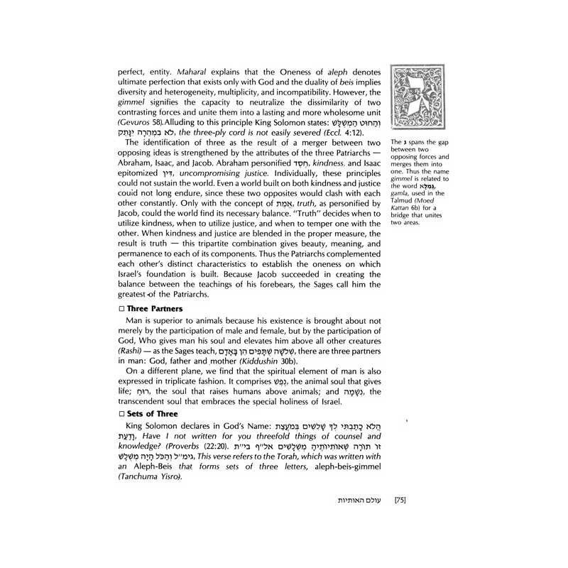 Wisdom in the Hebrew Alphabet - Hardcover | Books | Judaica