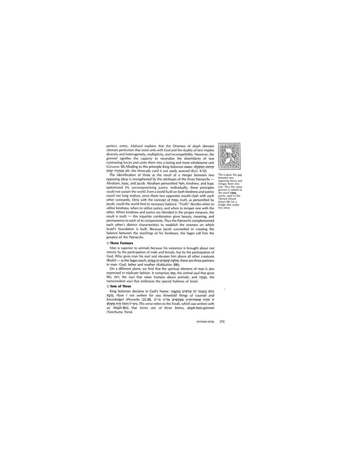 Wisdom in the Hebrew Alphabet - Hardcover | Books | Judaica