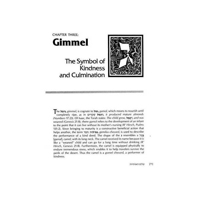 Wisdom in the Hebrew Alphabet - Hardcover | Books | Judaica