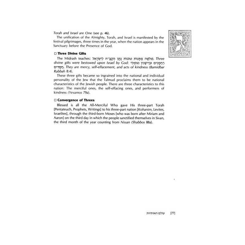 Wisdom in the Hebrew Alphabet - Hardcover | Books | Judaica