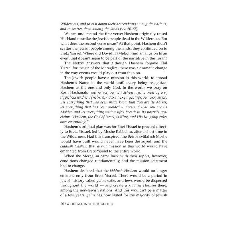 We're All In This Together - Hardcover | Books | Judaica