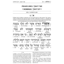 Spanish Interlinear Tehillim - The Wengrowsky Edit | Books | Judaica