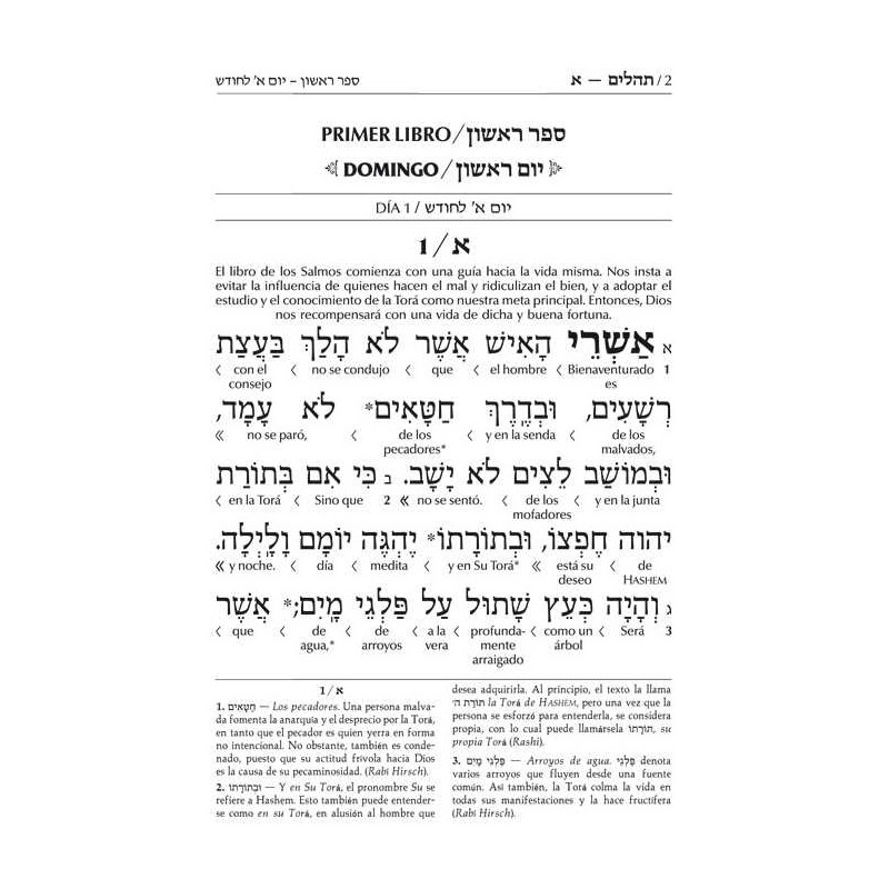 Spanish Interlinear Tehillim - The Wengrowsky Edit | Books | Judaica