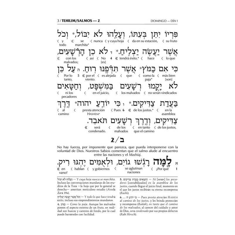 Spanish Interlinear Tehillim - The Wengrowsky Edit | Books | Judaica