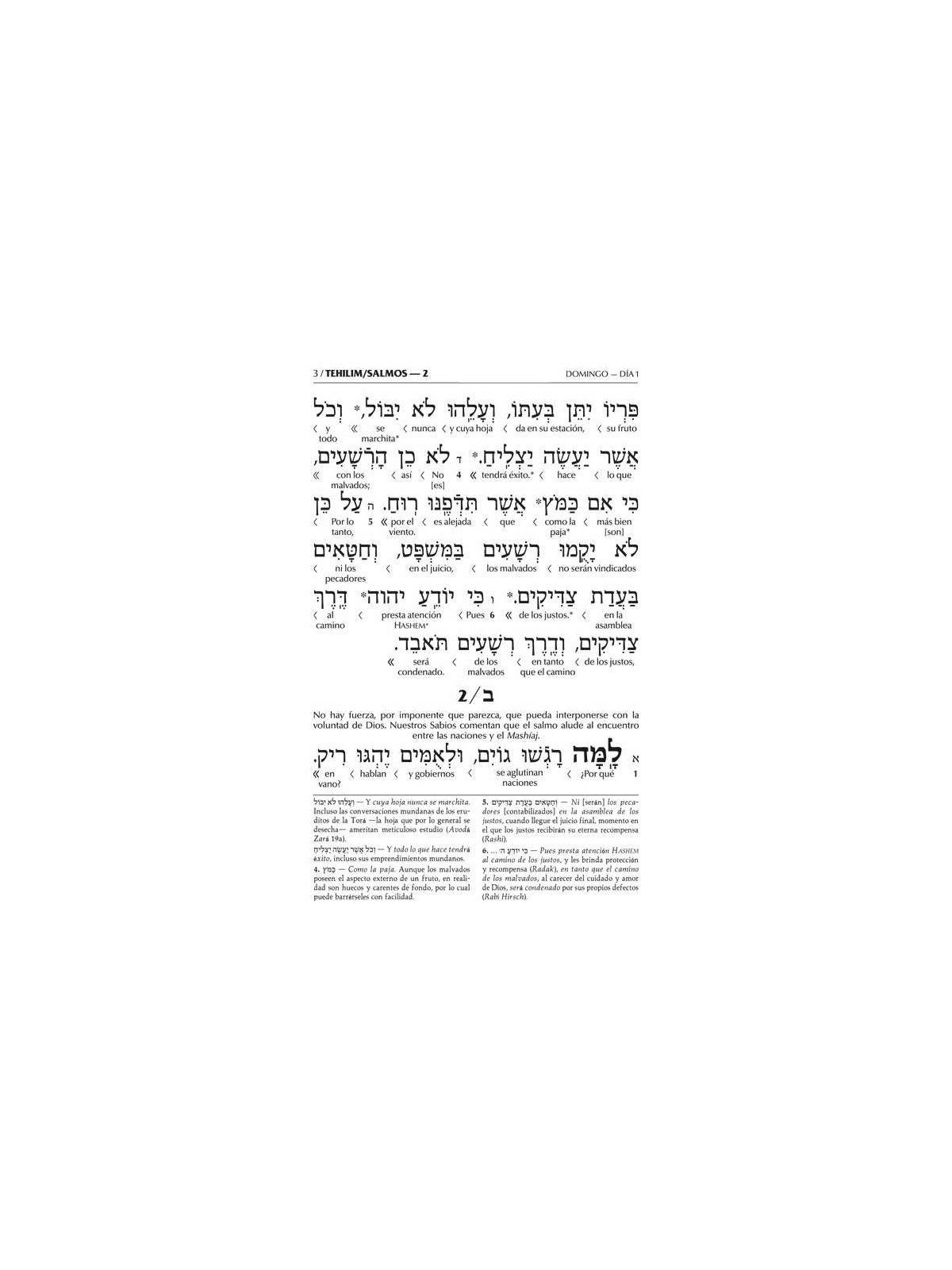 Spanish Interlinear Tehillim - The Wengrowsky Edit | Books | Judaica