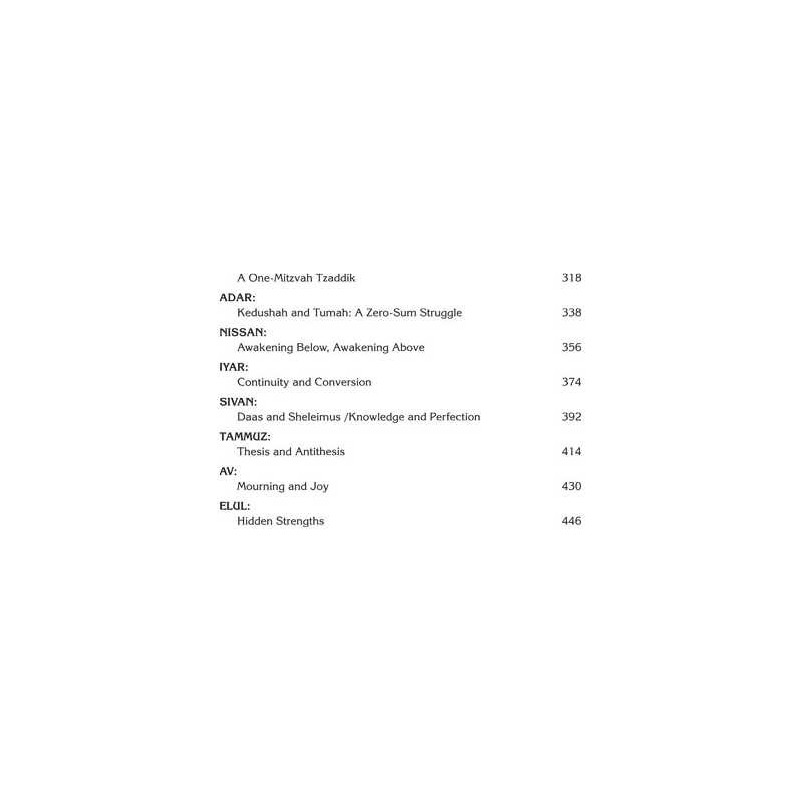 The Wisdom In The Hebrew Months Volume 2 | Books | Judaica