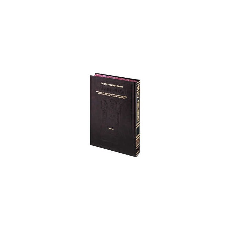Schottenstein Ed Talmud - English Full Size [#13]  | Books | Judaica