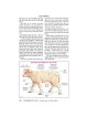 Yad Avraham Mishnah Series: 27 Tractate Zevachim ( | Books | Judaica