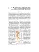 Yad Avraham Mishnah Series: 27 Tractate Zevachim ( | Books | Judaica